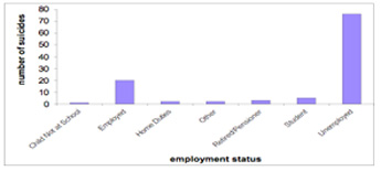 suicides and employment status NT