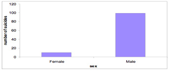 NT Suicides - Male and Female