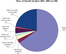 Place of Suicide Incident