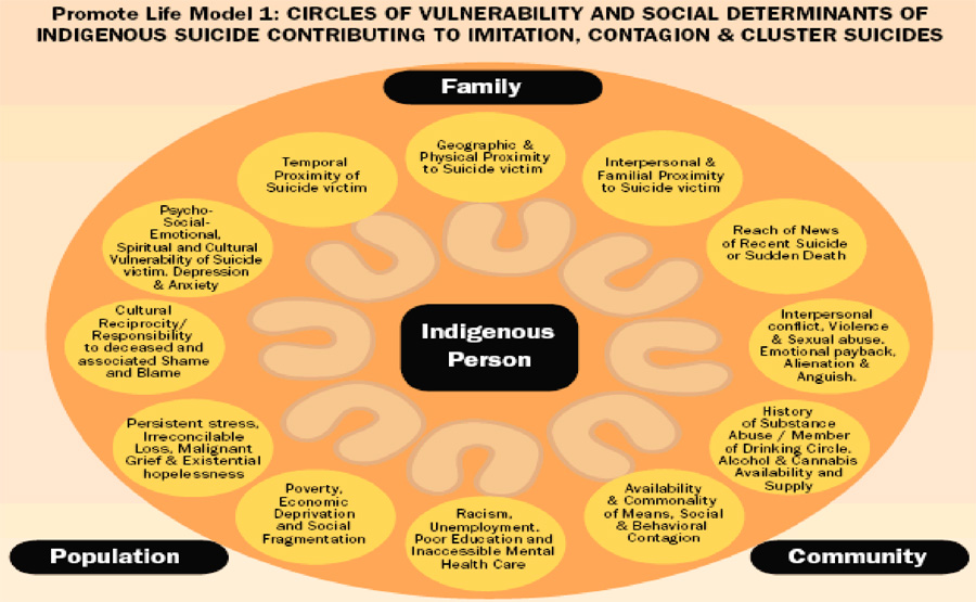 Vulnerabilities Model